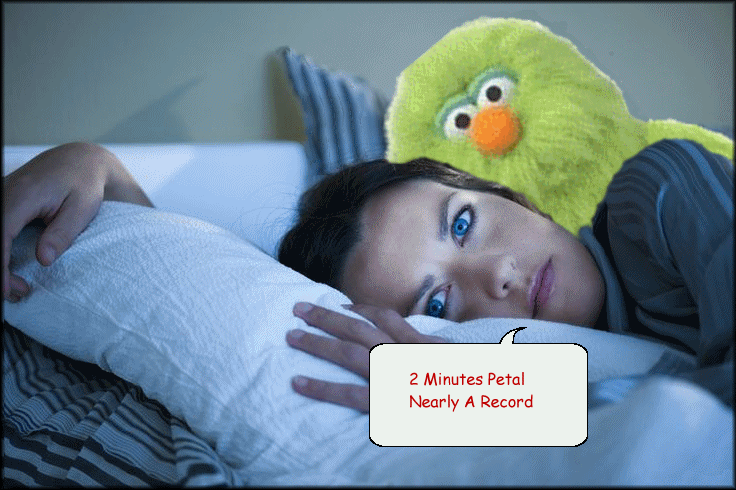  photo sleeping.gif
