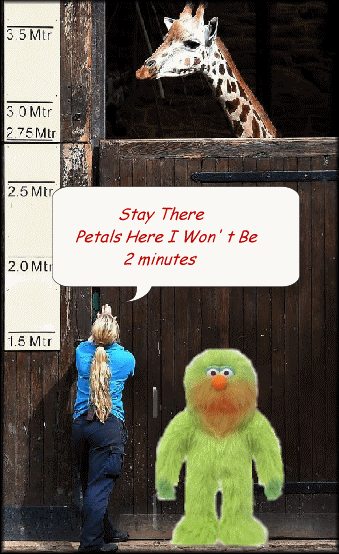  photo stay.gif