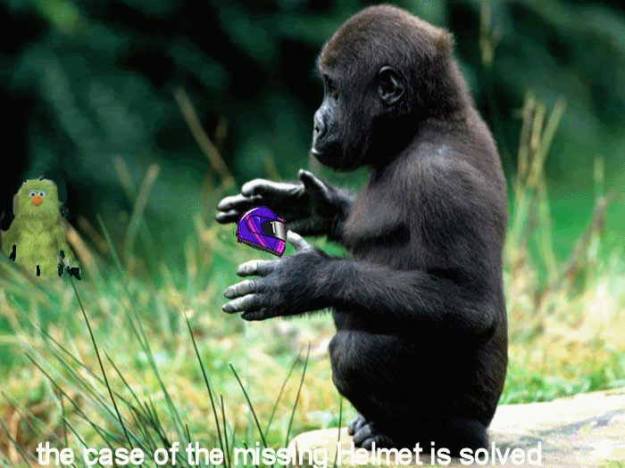 the case is solved