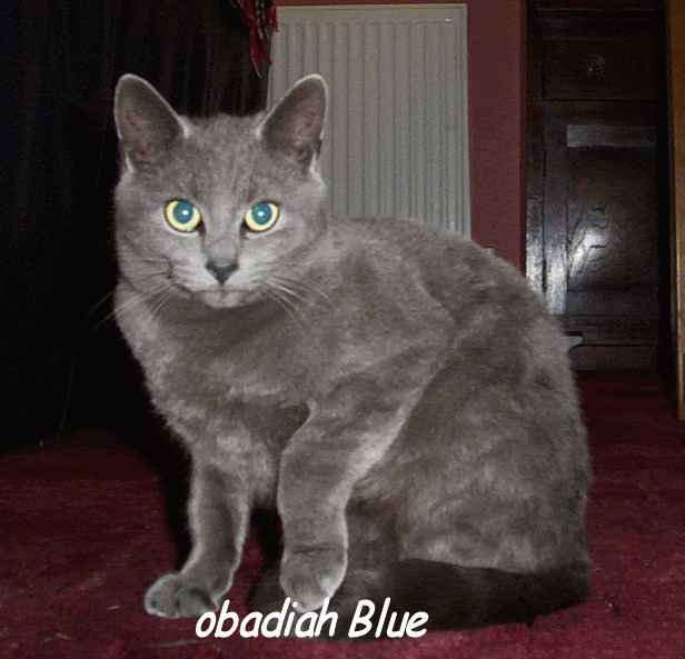 obadiah Blue