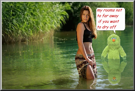 paddle.gif paddle picture by bearsrme