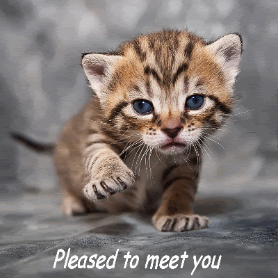 pleased to meet you