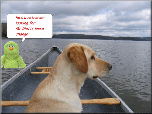 retriever