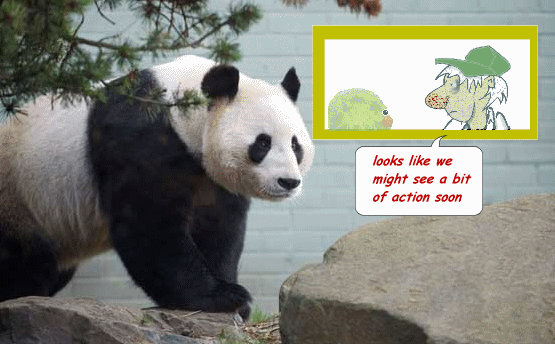  photo action.gif
