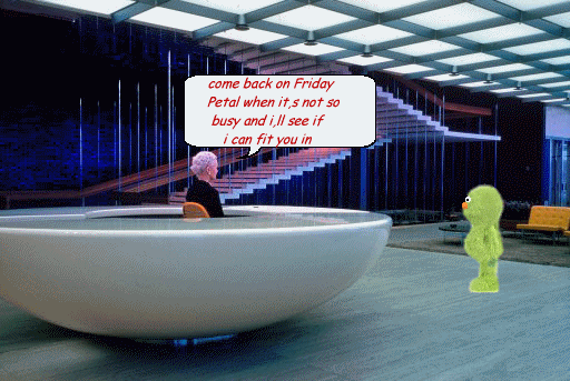  photo app.gif