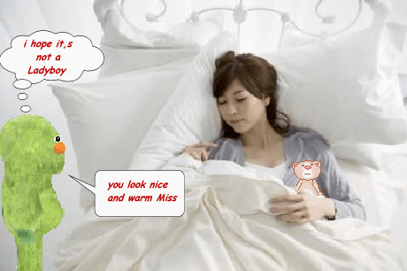  photo pillows.gif
