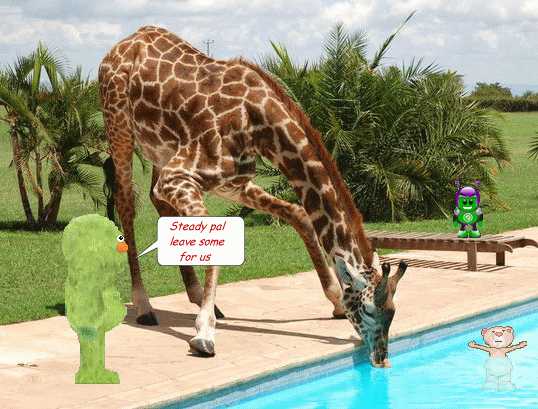  photo poolside.gif