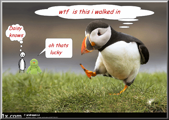 wtf.gif lucky picture by bearsrme