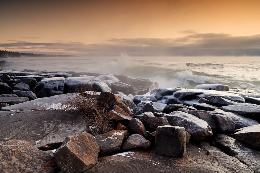 IMAGE: http://img.photobucket.com/albums/v115/eastcoastsponger/BA442-1.jpg