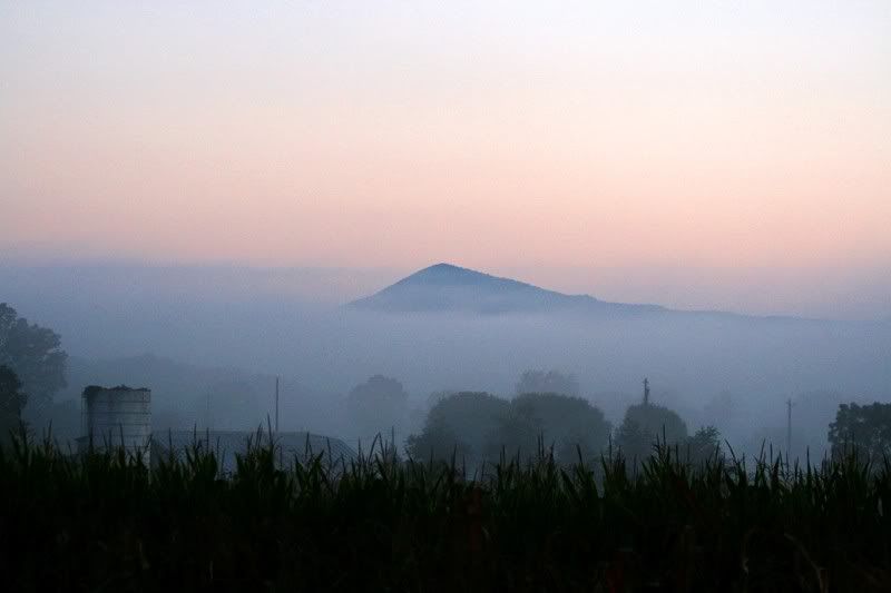 IMAGE: http://img.photobucket.com/albums/v115/eastcoastsponger/IMG_0358a.jpg