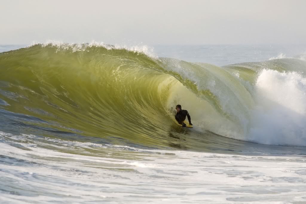 IMAGE: http://img.photobucket.com/albums/v115/eastcoastsponger/IMG_6540-CS.jpg