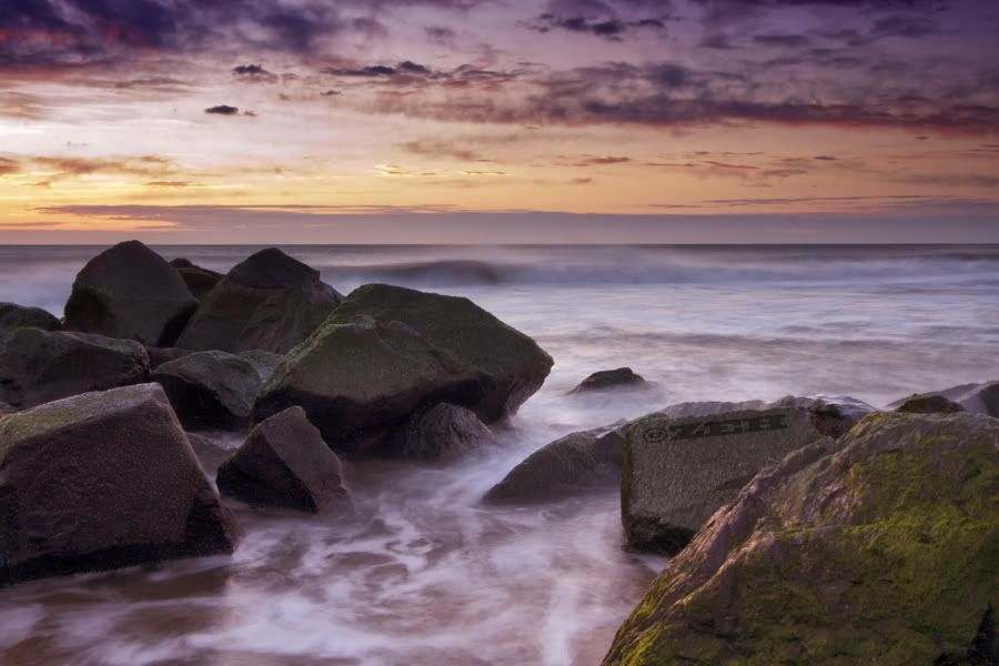 IMAGE: http://img.photobucket.com/albums/v115/eastcoastsponger/IMG_8062.jpg