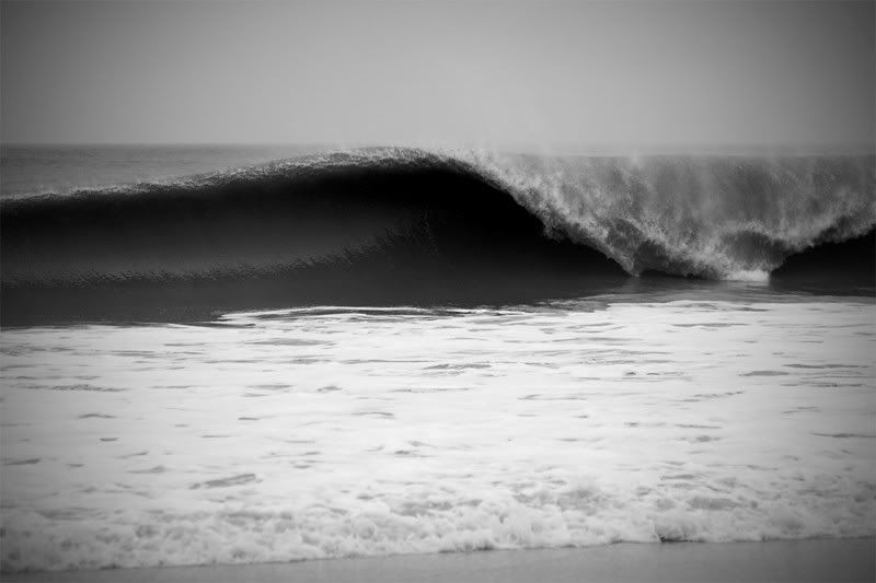 IMAGE: http://img.photobucket.com/albums/v115/eastcoastsponger/IMG_9832-2.jpg