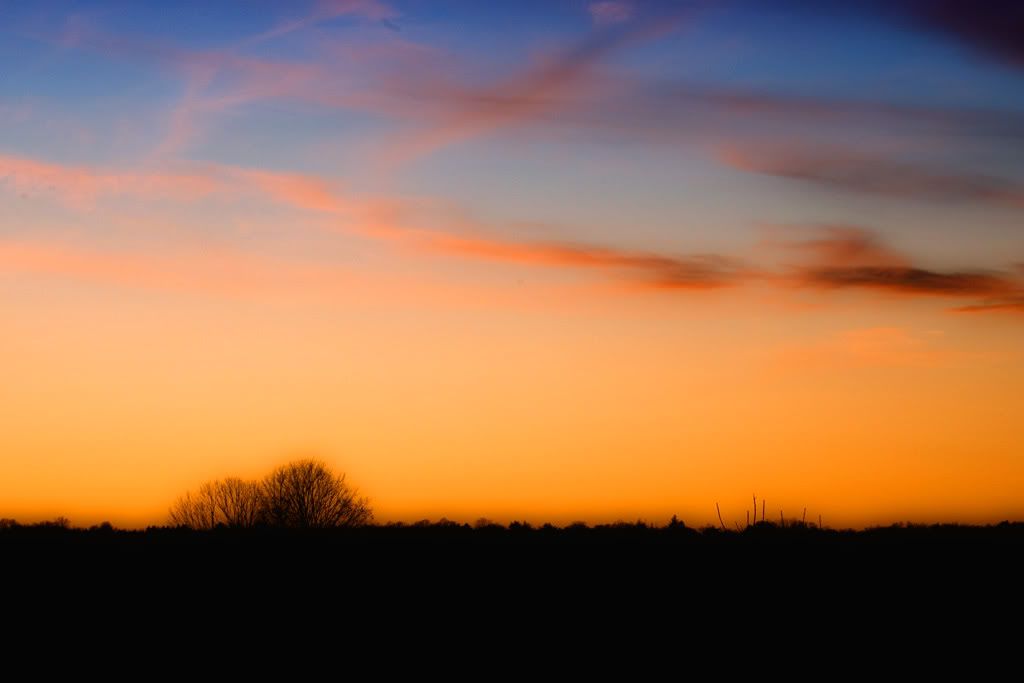 IMAGE: http://img.photobucket.com/albums/v115/eastcoastsponger/p130052992copy.jpg