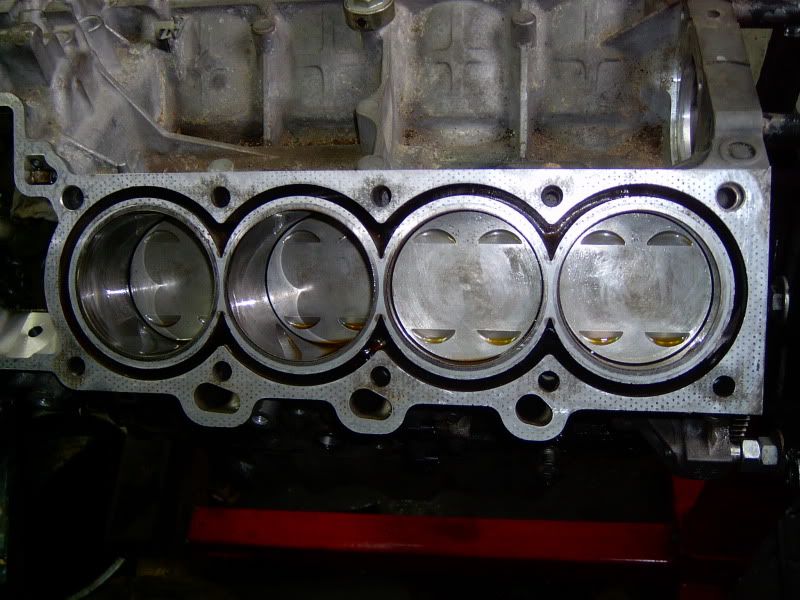 DIY Northstar Head Gasket / Crankcase Leak Repair Page 9