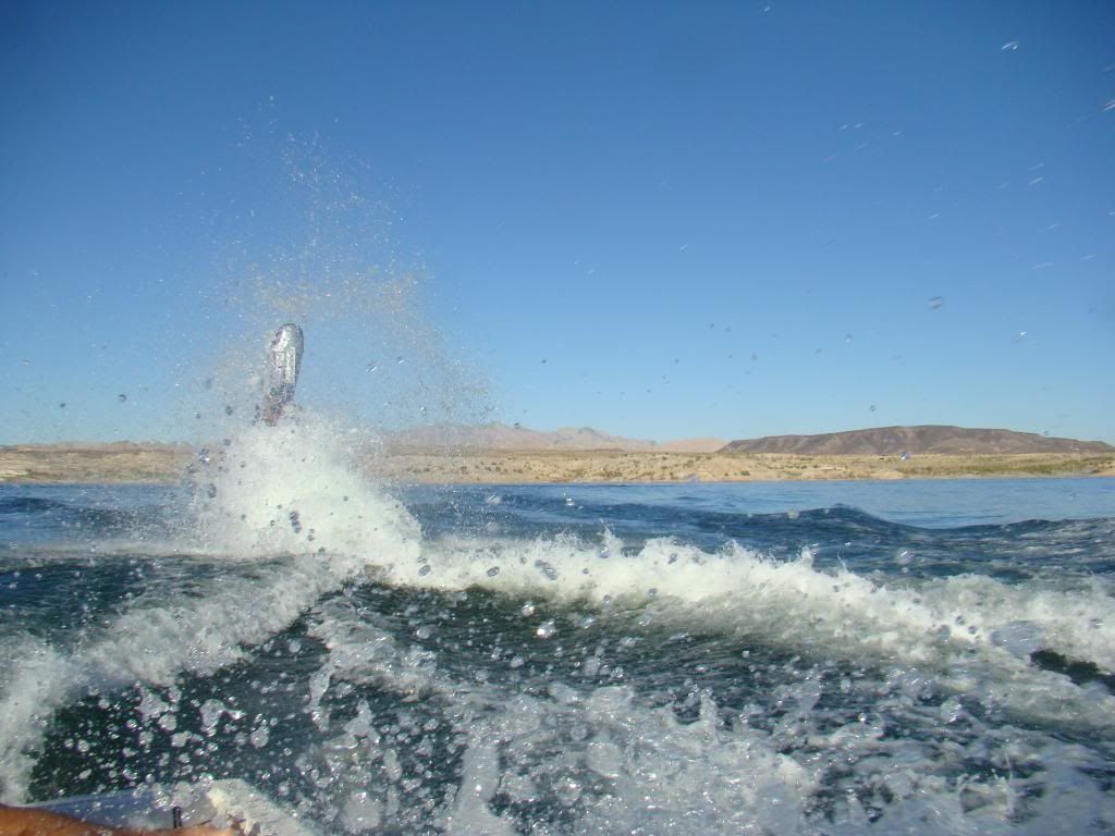DSC05445.jpg