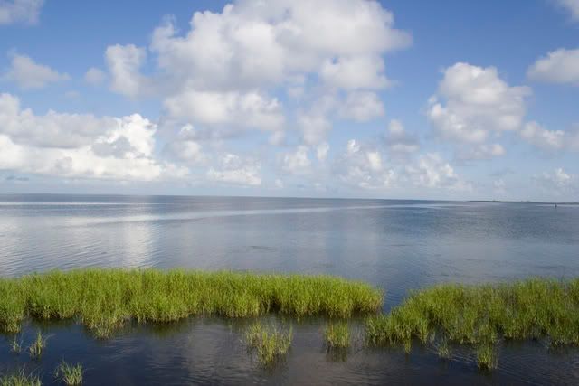 LagunaMadreWetlands.jpg