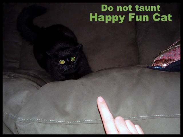 happycat.jpg