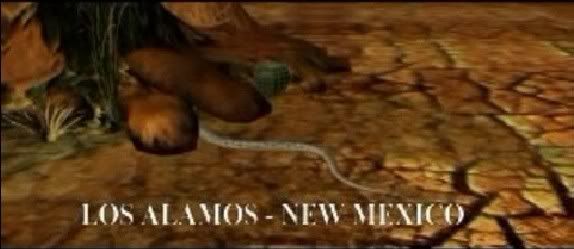 new_mexico.jpg