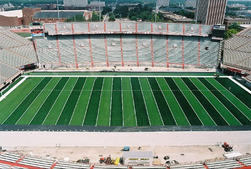 newturf1.jpg