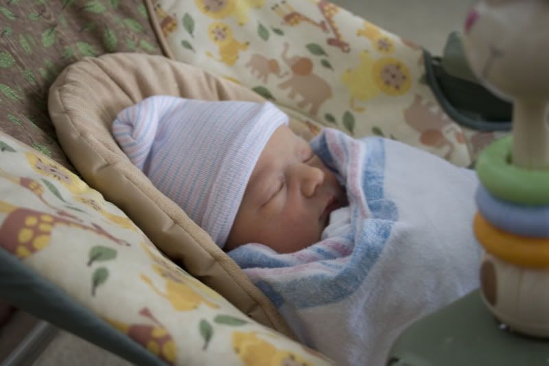 newborn baby in swinging swing