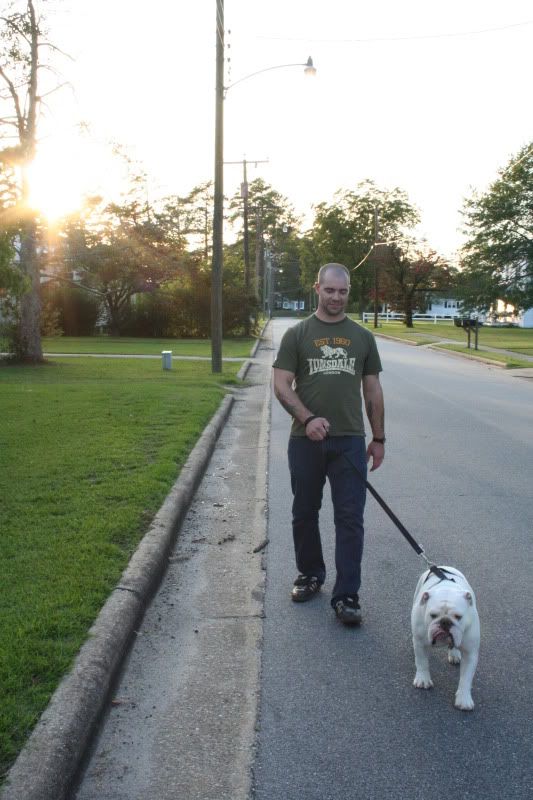 dan walking an english bulldog in gatesville, nc