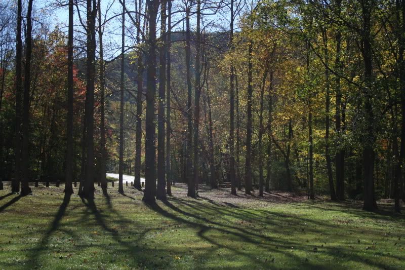 autumn in north carolina