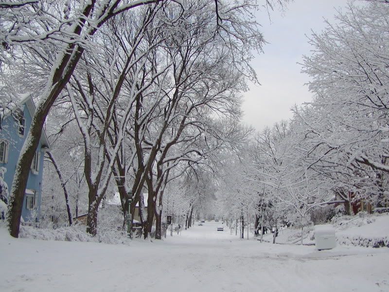 st. paul, minnesota winter