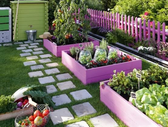 cute raised garden with purple fence