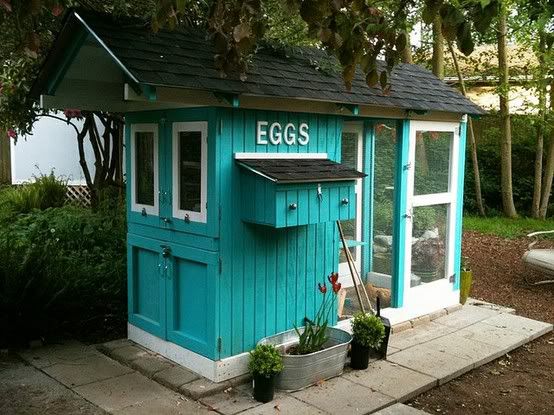 blue chicken coop