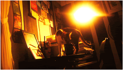 Photo Sharing and Video Hosting at Photobucket