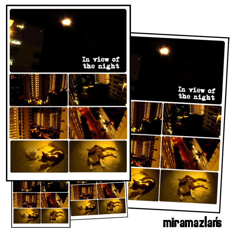 Photo Sharing and Video Hosting at Photobucket