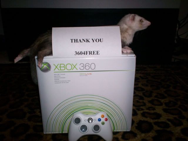 Free-Xbox-360-Premium-animal.jpg