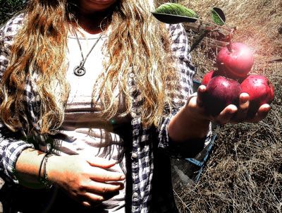  photo Woman-With-Apples1.jpg