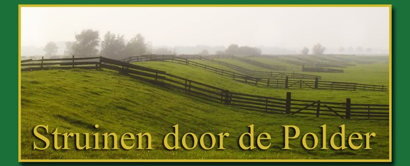 Struinendoordepolder