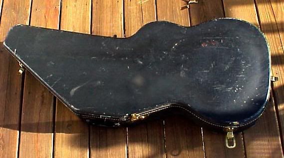 What kind of guitar lives in a case like this?