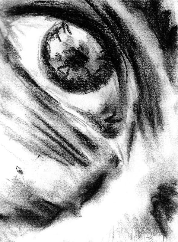 charcoal eye drawings