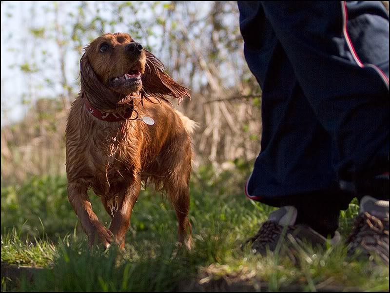 IMAGE: http://img.photobucket.com/albums/v119/Markulous/Domestic%20Animals/_MG_3498.jpg