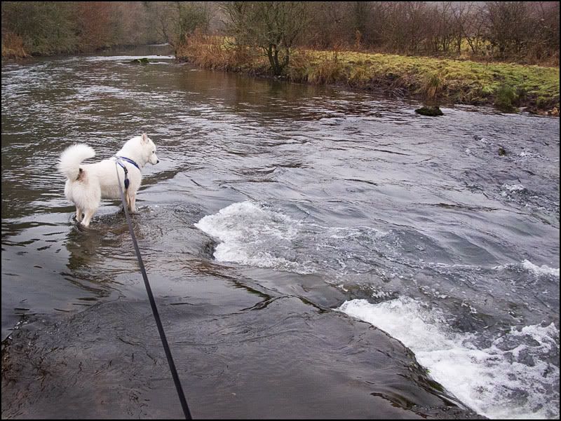 IMAGE: http://img.photobucket.com/albums/v119/Markulous/General%20Landscapes/1.jpg