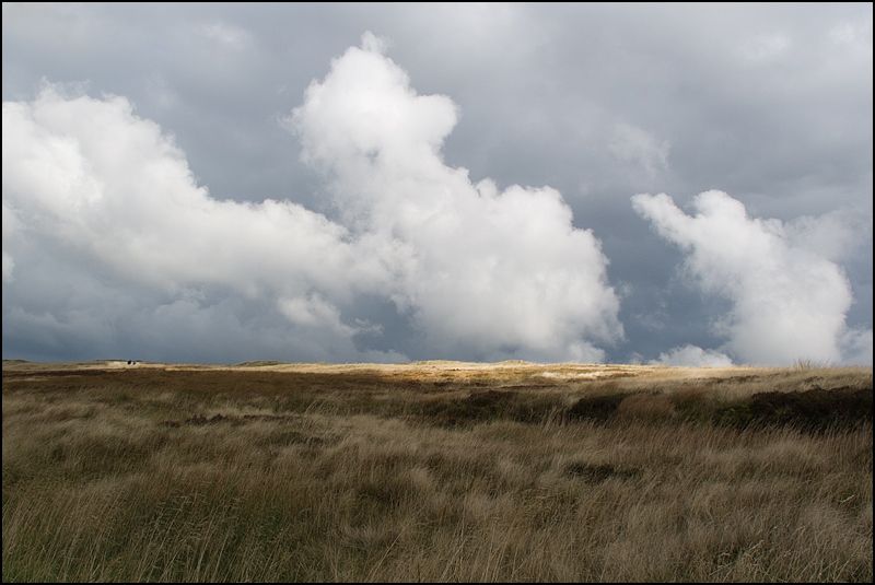 IMAGE: http://img.photobucket.com/albums/v119/Markulous/General%20Landscapes/IMG_7526.jpg