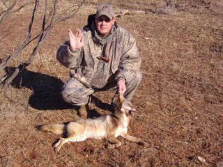 12-30-06coyote001.jpg