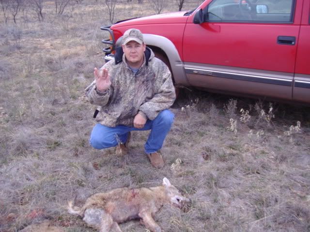12-31-06coyote.jpg