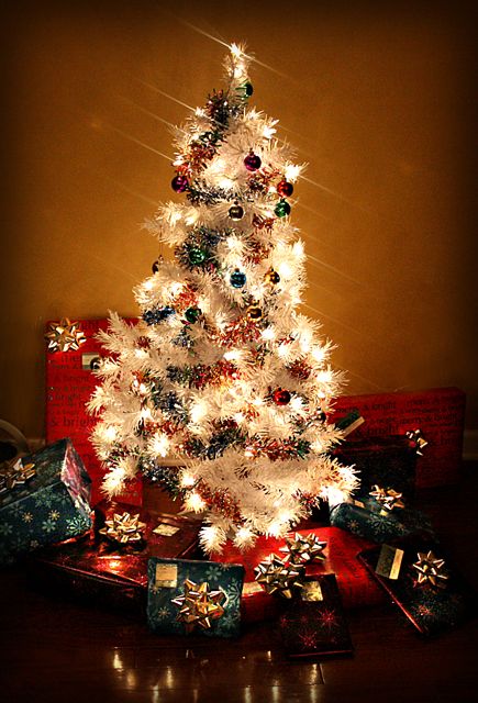 IMAGE: http://img.photobucket.com/albums/v119/rmr21/Picture003copy.jpg