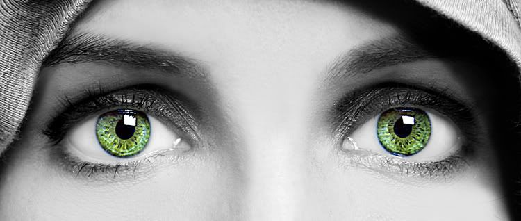 IMAGE: http://img.photobucket.com/albums/v119/rmr21/zzzuPicture196.jpg