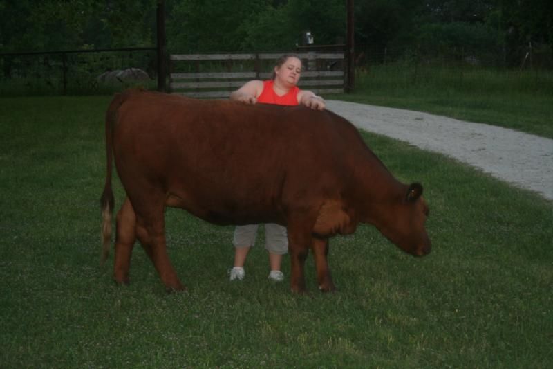Pictures around the farm - Countryside Families