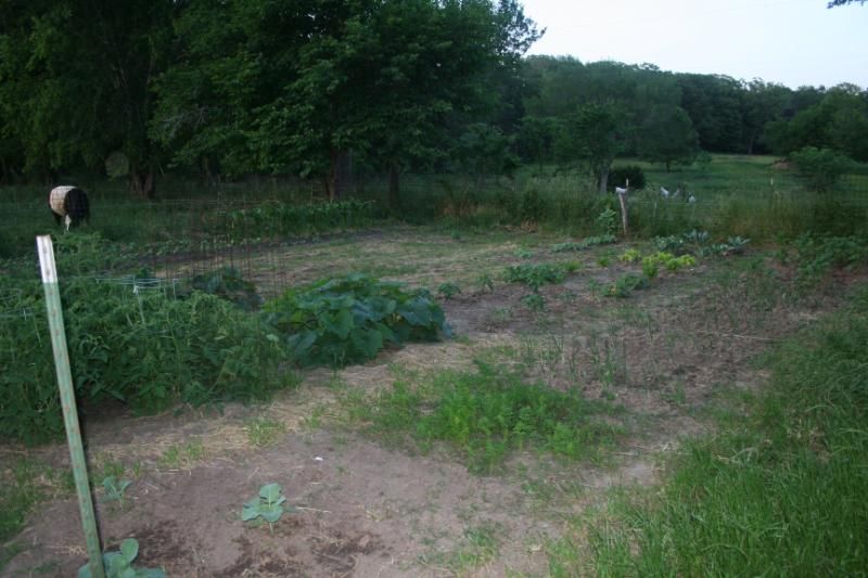 Pictures around the farm - Countryside Families