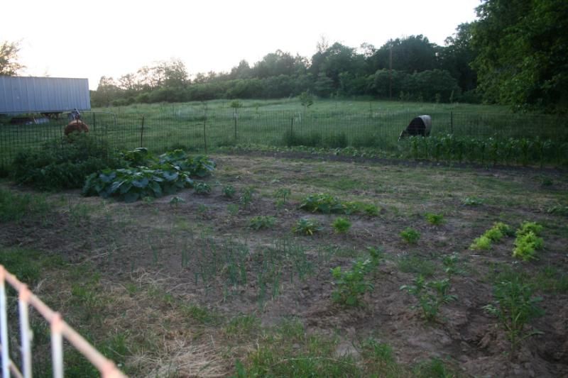 Pictures around the farm - Countryside Families