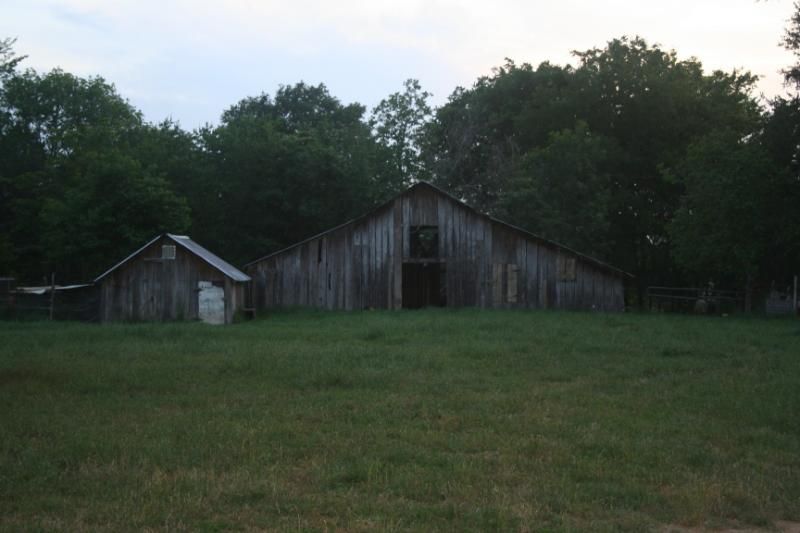 Pictures around the farm - Countryside Families
