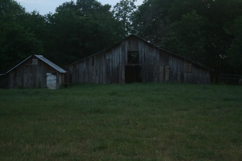 Pictures around the farm - Countryside Families