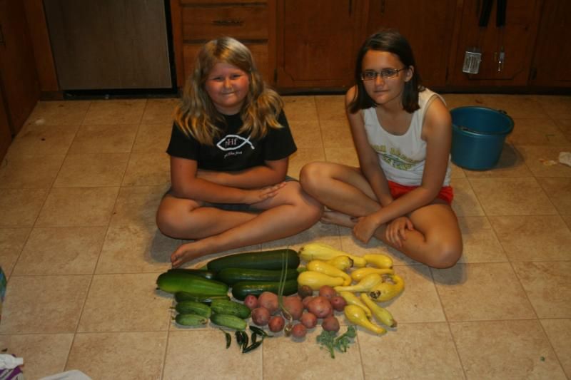 Todays take from the garden - Countryside Families